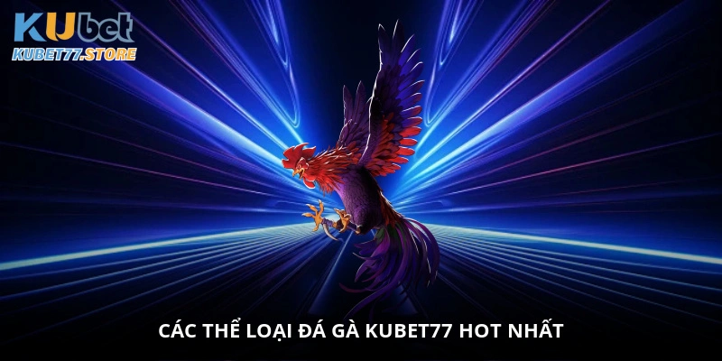 Các thể loại đá gà Kubet hot nhất