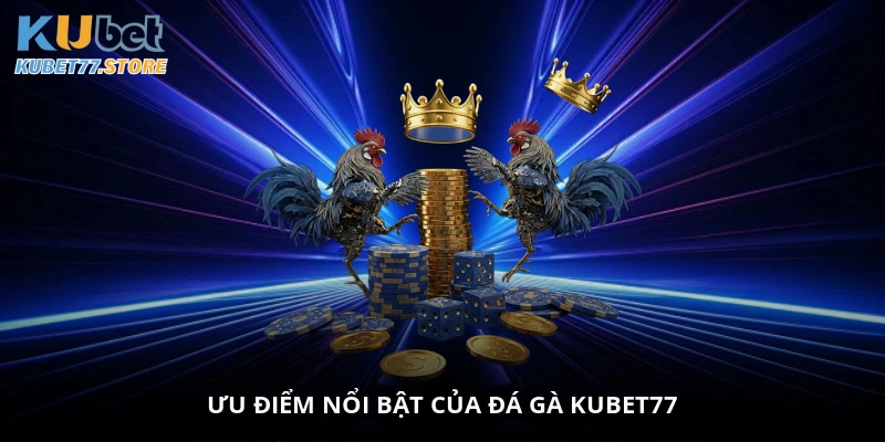 Ưu điểm nổi bật của đá gà Kubet